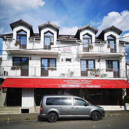 ホテル Pensiunea Mikelis International Curtea de Argeş エクステリア 写真