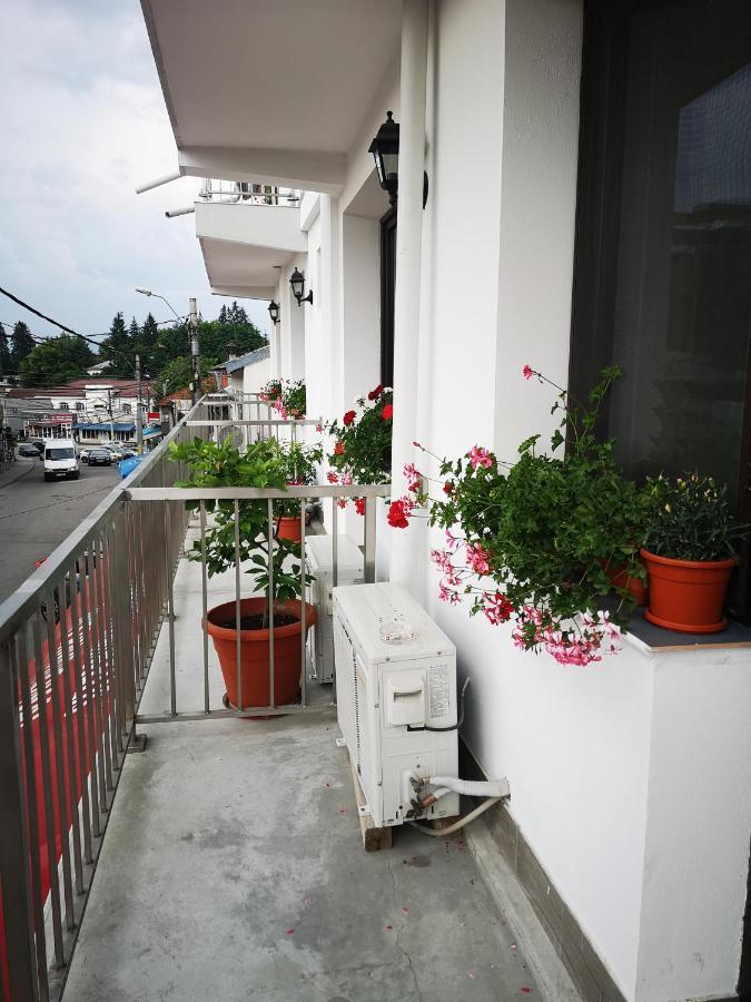 ホテル Pensiunea Mikelis International Curtea de Argeş エクステリア 写真
